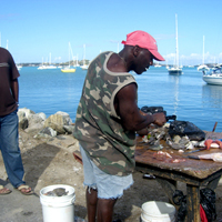 Marigot Fishmarket
